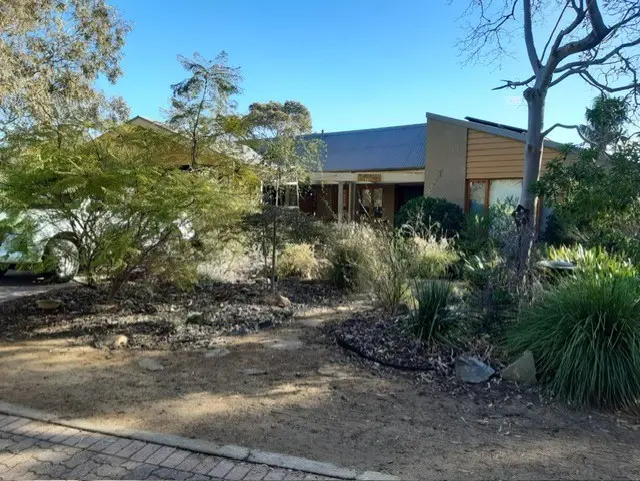 From Lawn Monoculture to Biodiverse Bird Haven: Old Noarlunga Garden
